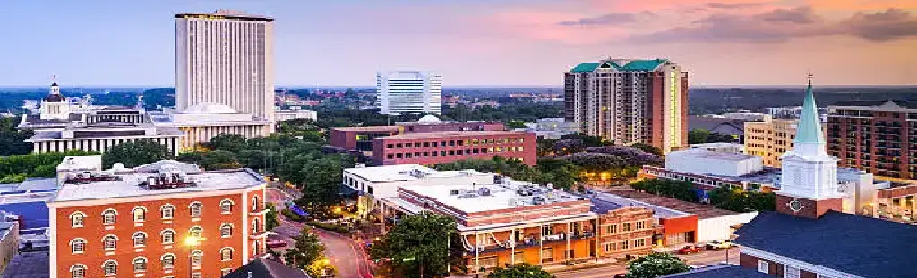 We serve mobile notary in Tallahassee, Florida